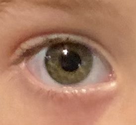 Hayley Reese Chow tweet media