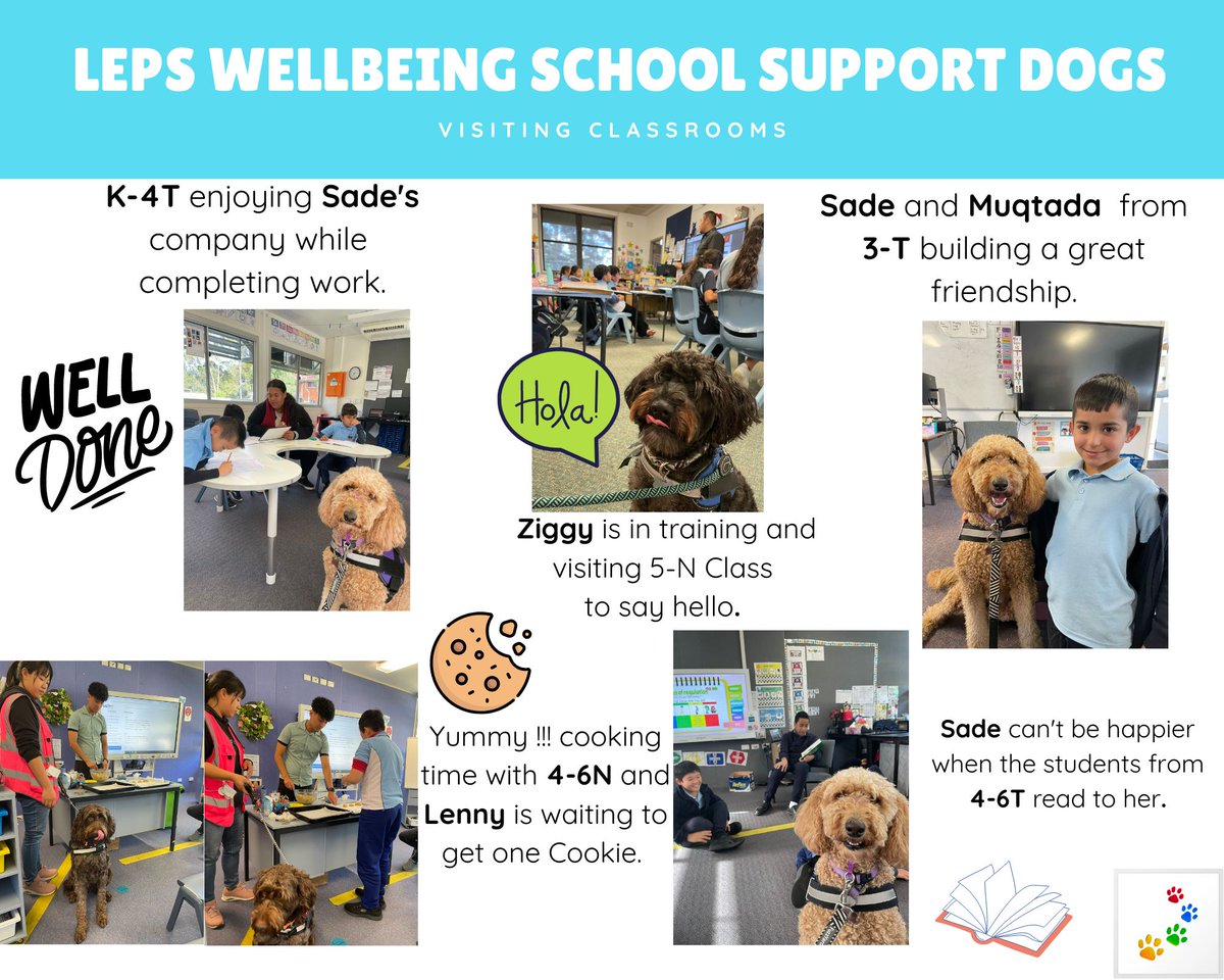 Our Wellbeing School Support Dogs are always helping others learn, thank you. <a href="/LansvaleEast/">Lansvale East Public School</a> #LoveWhereYouLearn #DogsofDoE #therapydogs