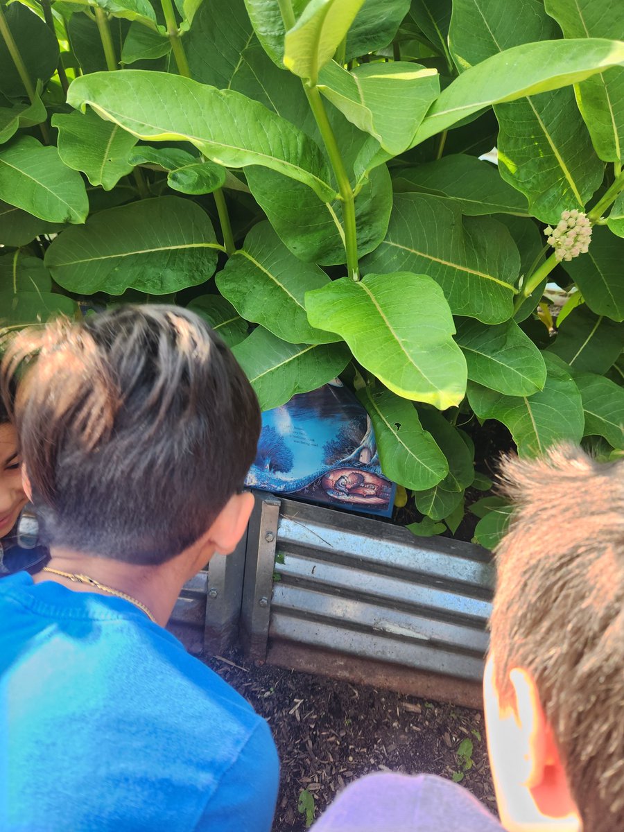 Christine Jarboe tweet media