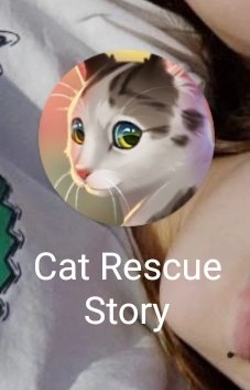 La twittera/su juego