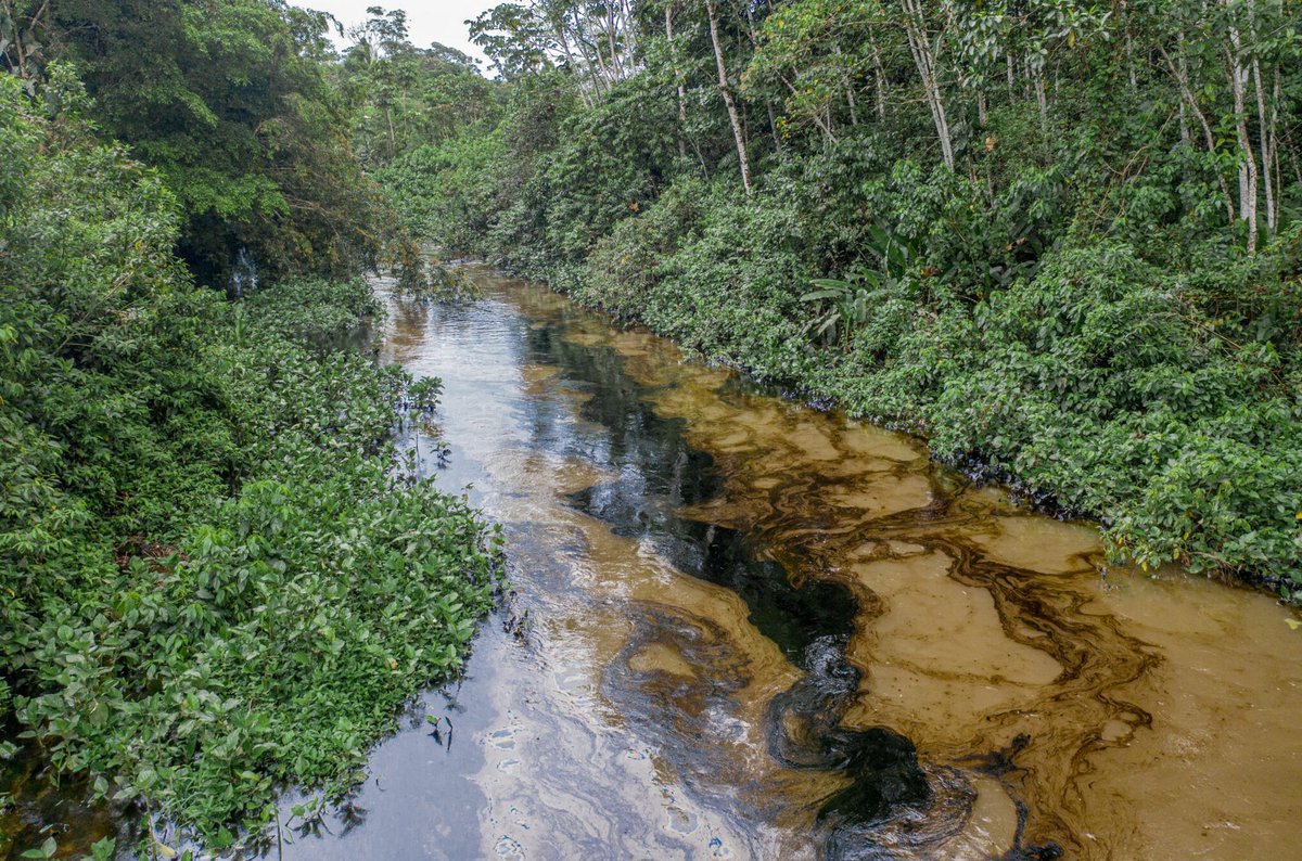 Critics question causes behind major new oil spill in #Ecuador's Amazon 'If we’re talking about sabotage, the gov't would have to show the evidence it has+what the purpose of the sabotage was'-@jacero71, Lawyer @AFrontlines @MaxRadwin for @MongabayOrg: bit.ly/3OABOV2