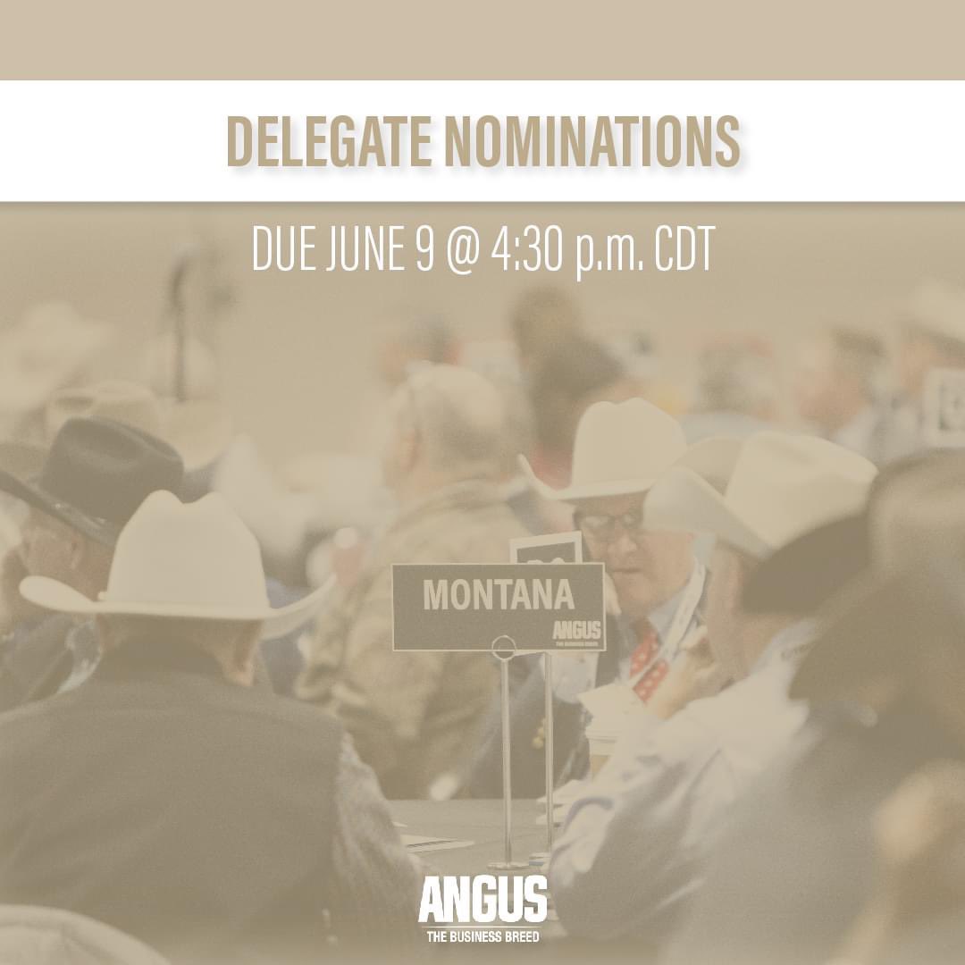 American Angus Association (@AngusAssoc) / Twitter