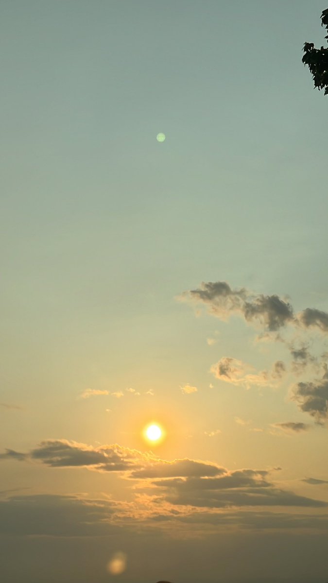 NoBuzzJoe's tweet image. Waiting…watching. 

#sunset