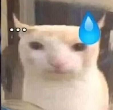 piwoncats's tweet photo. https://t.co/7rLkvDtkGF
