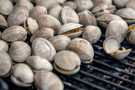 FinShops's tweet image. Holiday ordering💢specials 💢fresh@fin - mailchi.mp/e63386fcedc3/h…