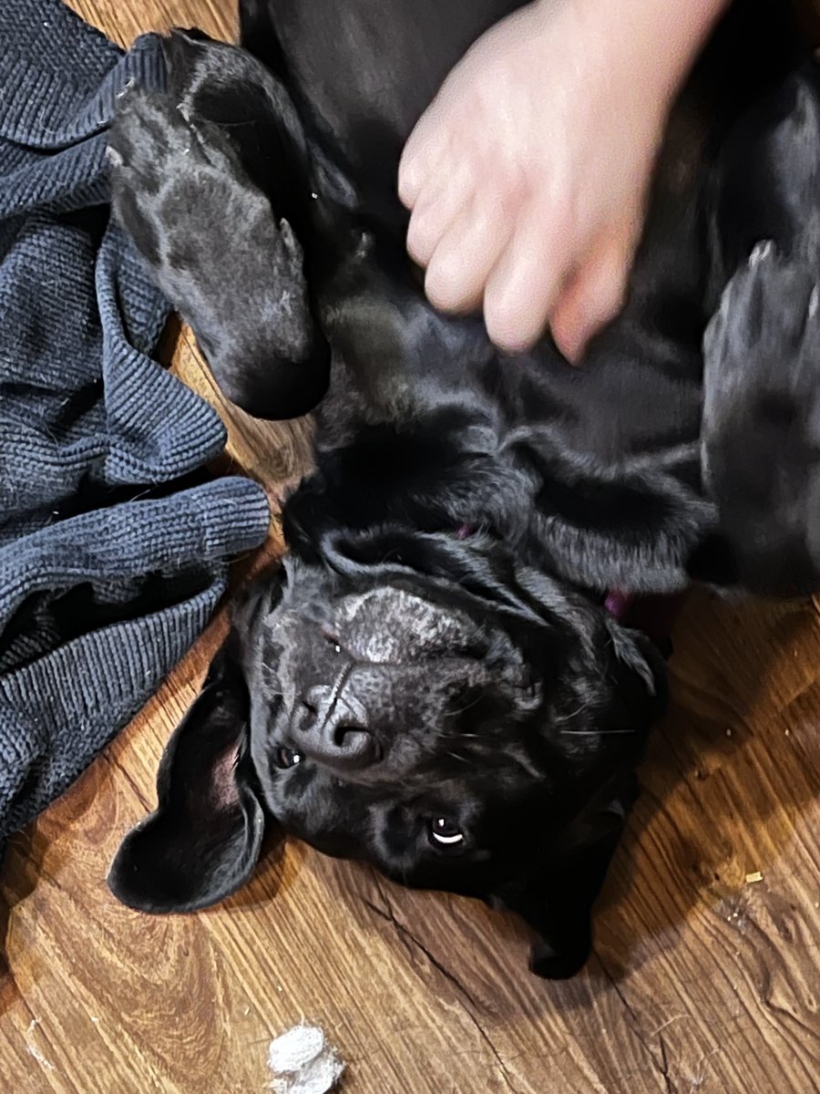 Jimbasco tweet media