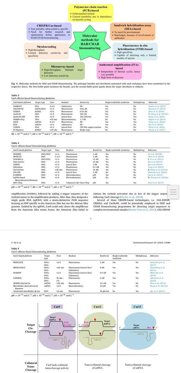 #New Paper alert 🚨 (Elsevier)

#Journal: Environmental Research (IF: 8:431)

#Title: Novel CRISPR/Cas technology in the realm of algal bloom biomonitoring: Recent trends and future perspectives

#Full Text: authors.elsevier.com/c/1h7RT3Ao63ebA

#CRISPR/Cas #Biomonitoring #AlgalBloom