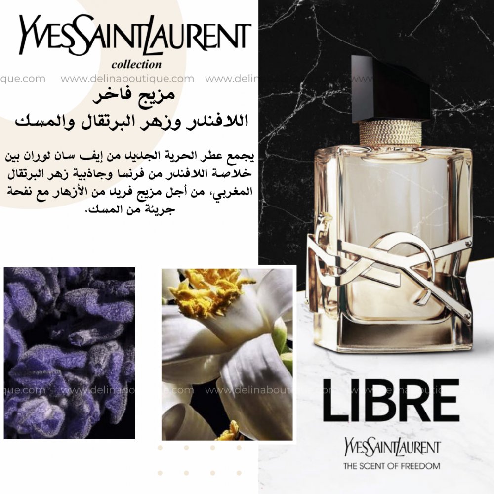 ment trarze tweet media