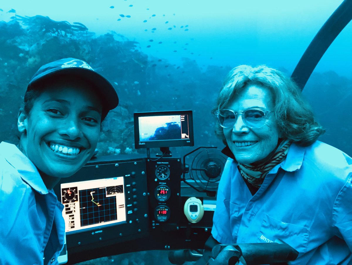 FinsandFluke's tweet photo. MissionBlue: "Kelp forests are among the most important marine ecosystems in the world &amp; harbor significant biodiversity." @BugSalome reflects on the discovery of a deep sea kelp forest at the Galápagos Island Hope Spot. #BiodiversityDay  

Read more: … https://t.co/TnooZrjoj7