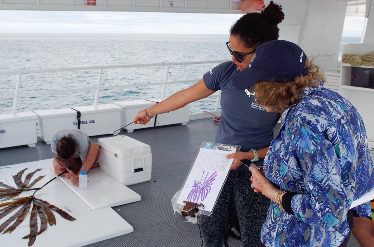 MissionBlue: "Kelp forests are among the most important marine ecosystems in the world &amp; harbor significant biodiversity." @BugSalome reflects on the discovery of a deep sea kelp forest at the Galápagos Island Hope Spot. #BiodiversityDay  

Read more: …