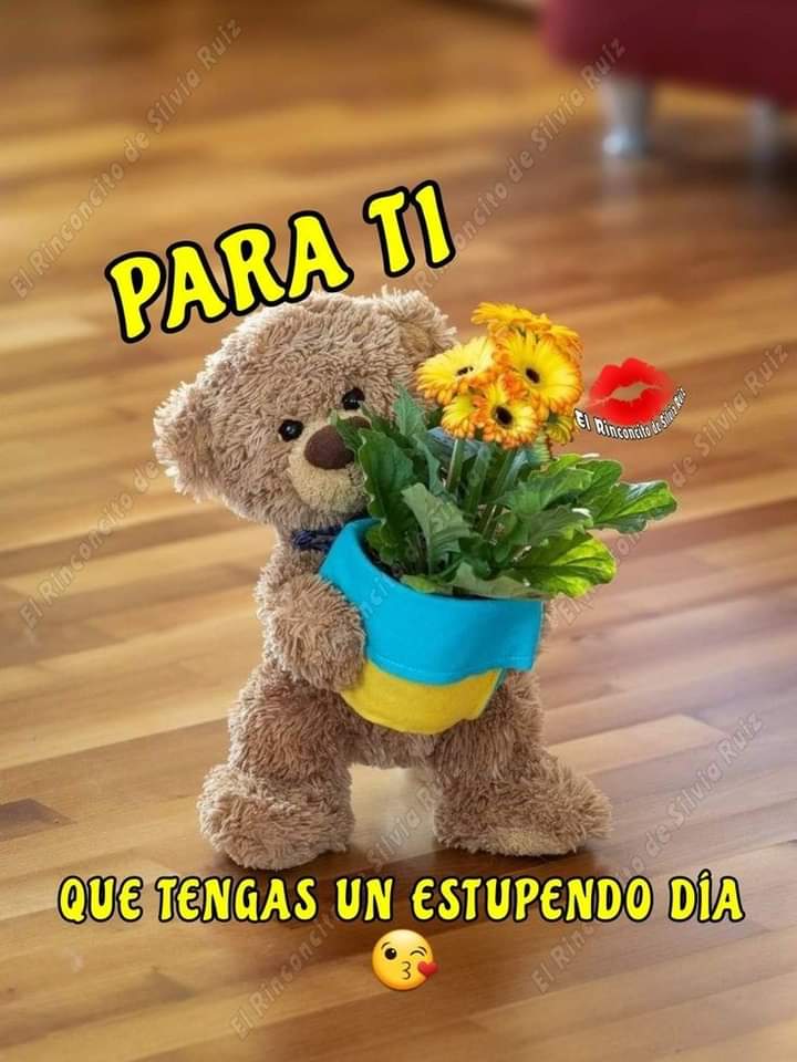 Carolina De Jesús Castillo (@carolina_cas_) on Twitter photo 