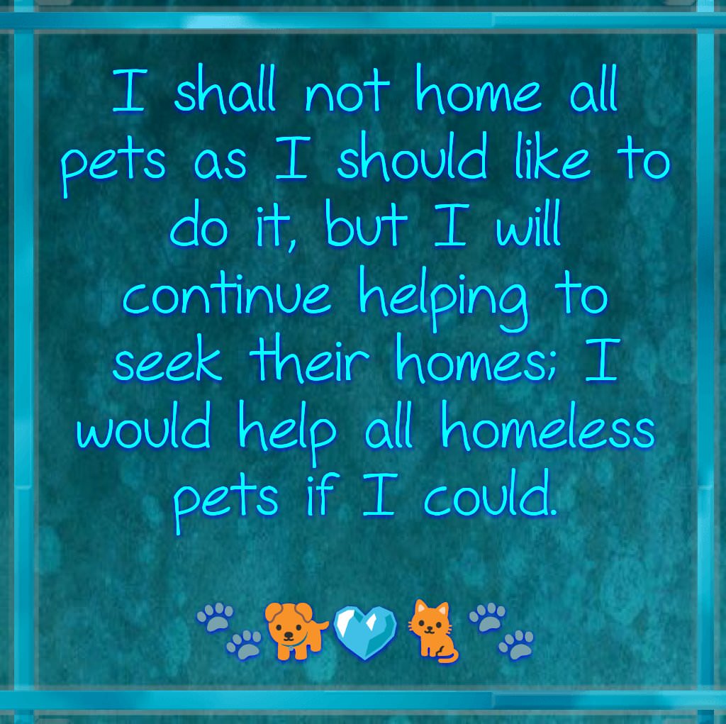 Kattavernd (@kattavernd) on Twitter photo 