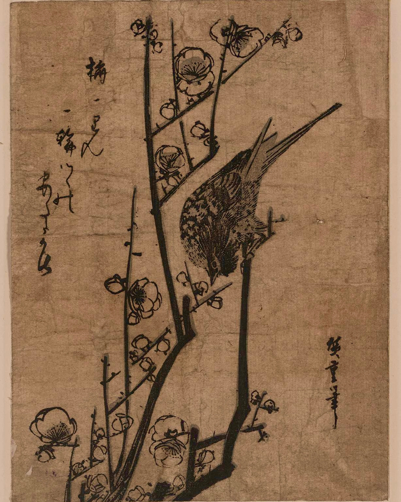 “𝘜𝘮𝘦 𝘯𝘪 𝘜𝘨𝘶𝘪𝘴𝘶” Hiroshige Andō (1833)​​​​​​​​​
A beautiful wood block print of a bush warbler among plum blossoms. We use the fruit from the very same flowers almost two centuries later!
.
.
.
 #lebongarcon #caramel #treatyourself #locallymade #ume