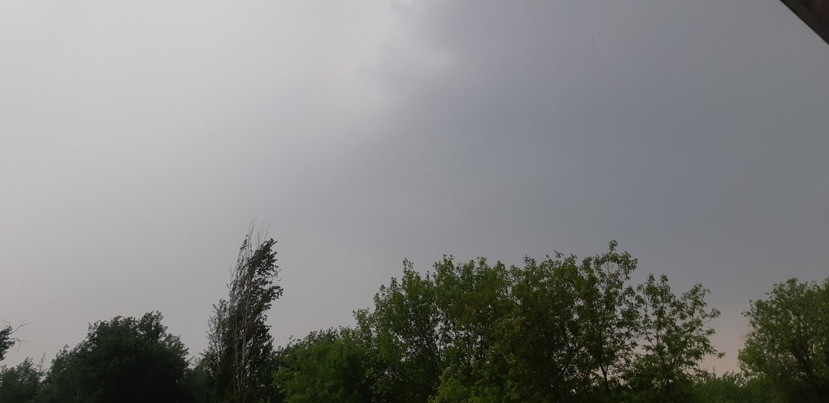 so much thunder and rain. summer😀😀
#clouds #weather #weatherphotography #weatherphotos #photography #photographer #photo #may #summer #world #earth #canada #beautiful #peace #storm #stormchasing #stormclouds #rain