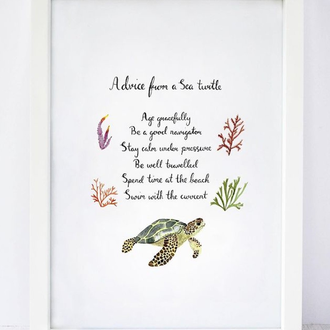 derwentart's tweet image. To celebrate World Turtle Day, let's take a moment to appreciate the beauty of turtles  🐢

Allow your imagination to guide you as you explore the magnificence of turtles through art, as @hightideillustrations has done. 

#TurtleDay #WorldTurtleDay #WorldTurtleDay2023