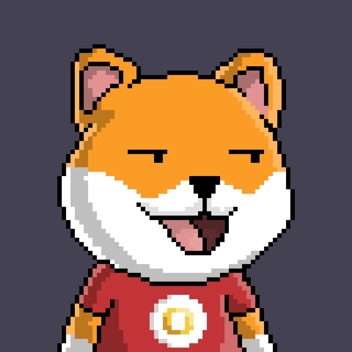 Ordichiens ドージェ 🔆 tweet media