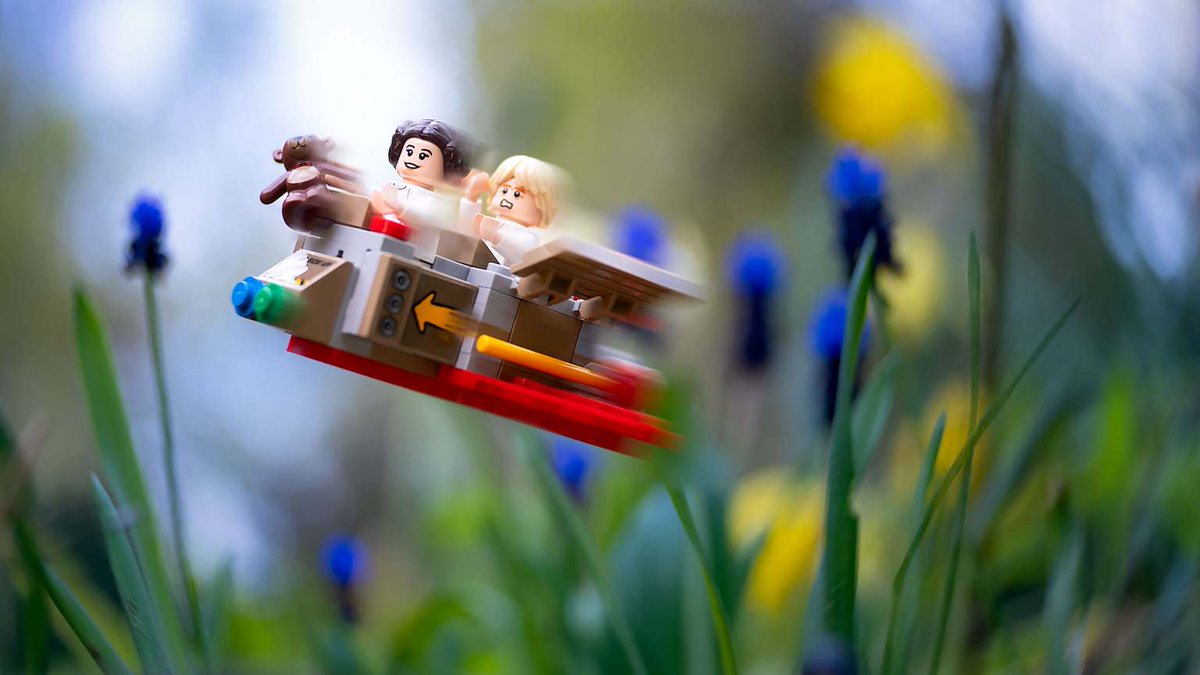 Toy Photographers tweet media