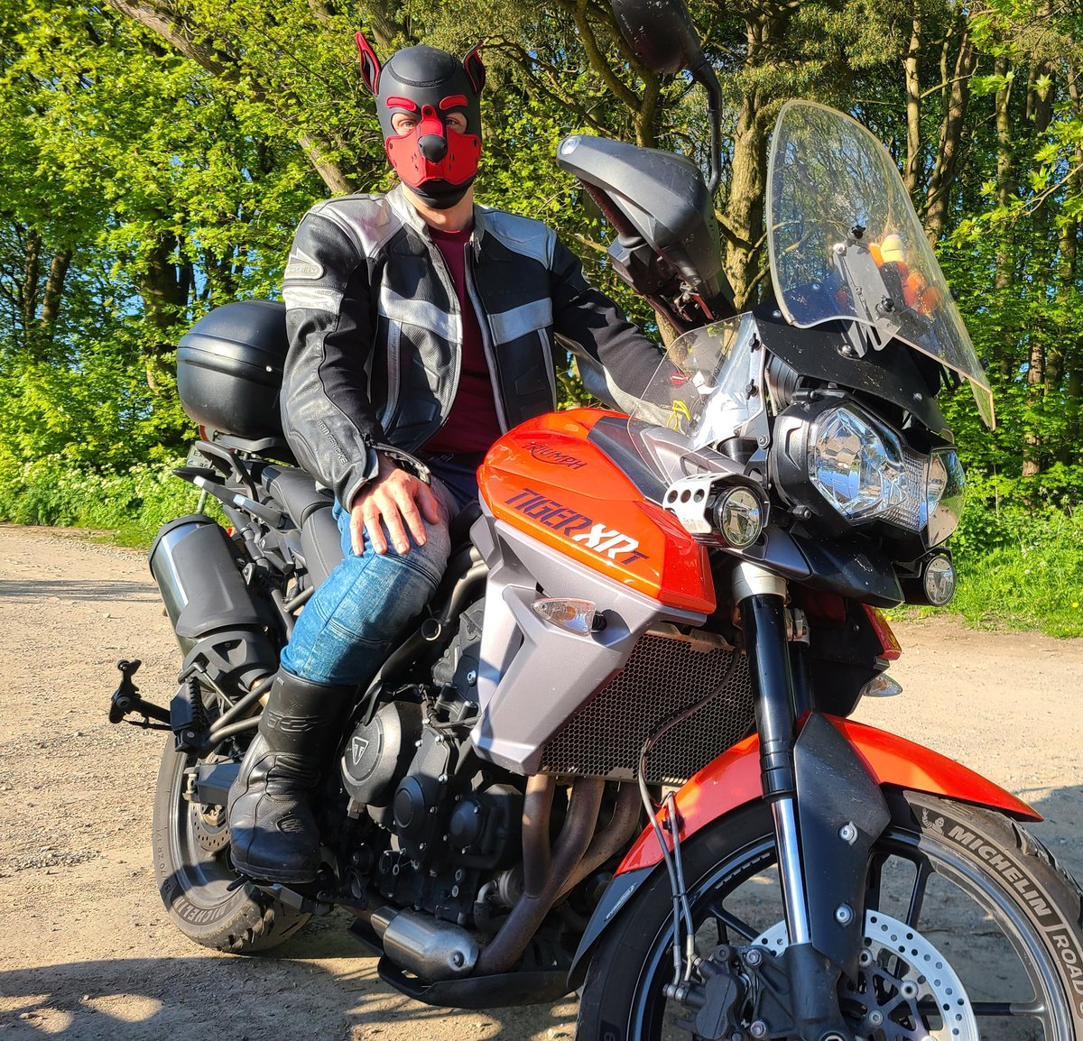 PupVesper's tweet photo. Vroom vroom woof https://t.co/51WmjkTVrA