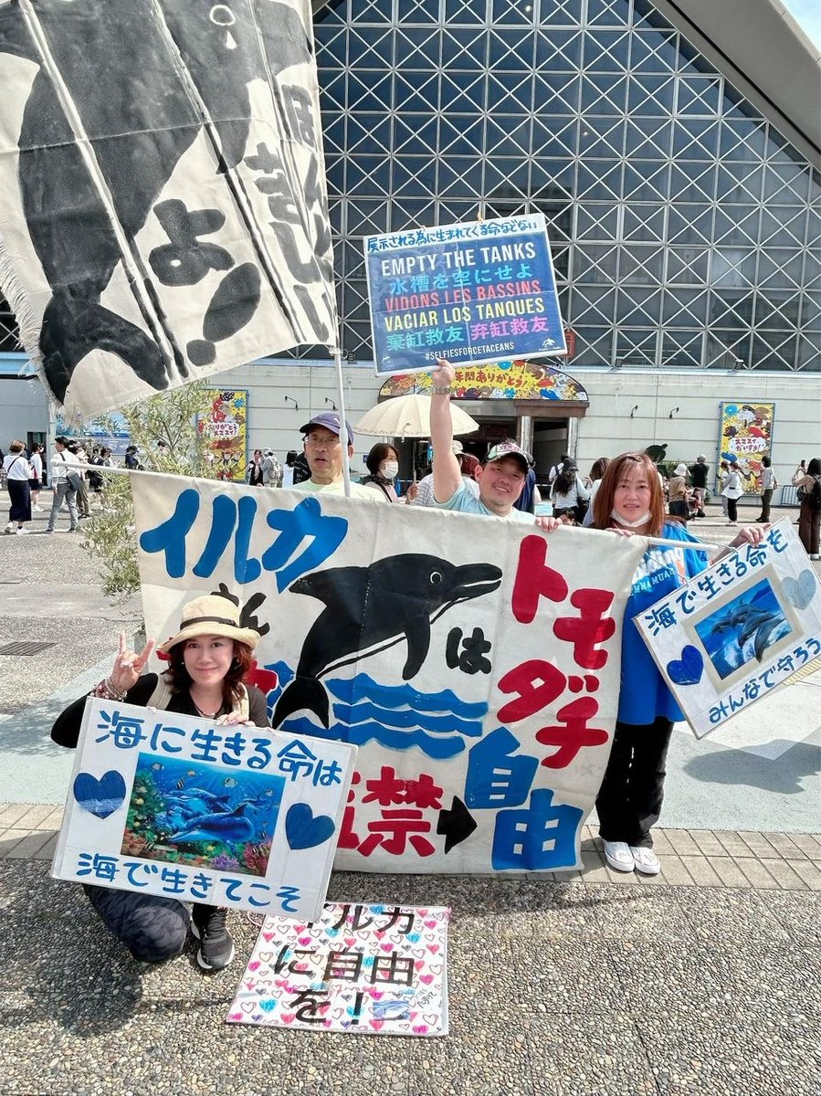 FinsandFluke's tweet photo. Dolphin_Project: Still beyond grateful to all who joined in at 40+ locations for this year's #EmptyTheTanksWorldwide event!

Hosting peaceful and educational demonstrations at any point during the year are great ways to advocate for an end to cetacean ca… https://t.co/esO8Q0nq6H