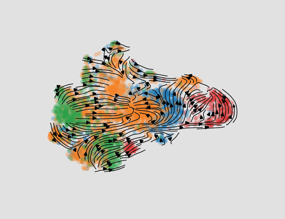 ScienceMagazine: A new <a href="/SciImmunology/">Science Immunology</a> study in mice investigates the developmental origins of CD4+ tissue resident memory cells, identifying a potential precursor population in the small intestine.

Read more: scim.ag/2I2