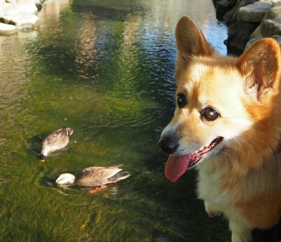 不具合が続き全く見られな
かったです💦今日はどうかな？
今週も宜しくお願いします😊