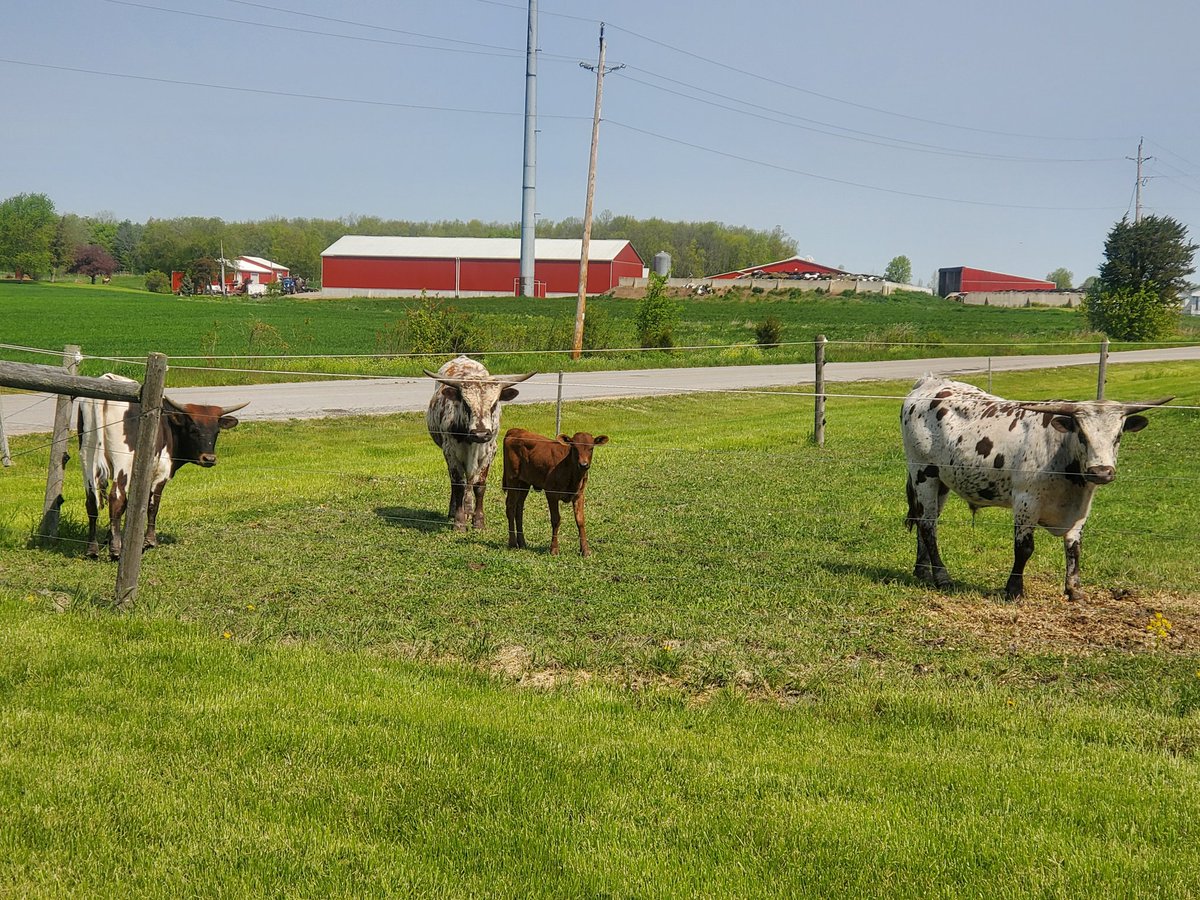 After completing the <a href="/torontomarathon/">Toronto Marathon</a>, then setting a 5km PB followed by some  R&amp;R, I am back to my normal Sunday long runs and my regular cheering audience. "Keep moooooving Darren"