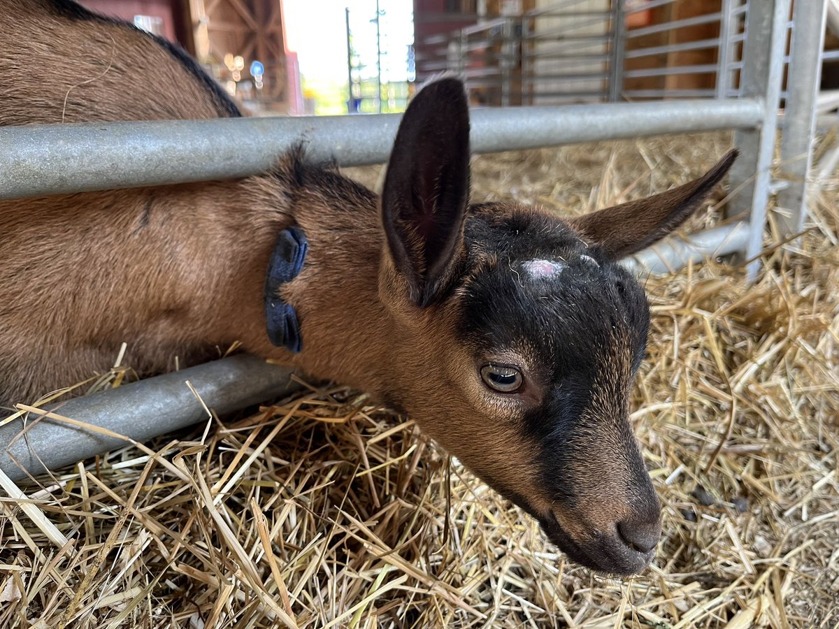 Adam Bartow tweet media