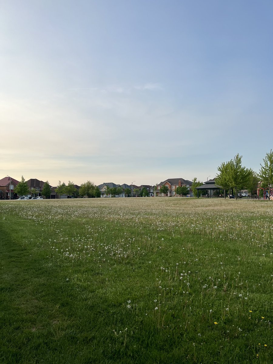 foreverhkhaay's tweet photo. We pay one of the highest property taxes in Ontario, yet our parks look like this @CityBrampton https://t.co/abiYbJceqo