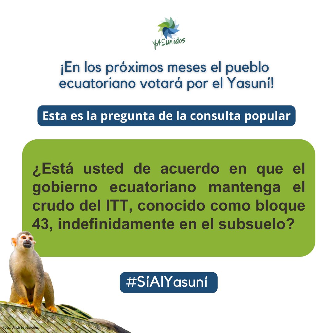 ¡Esta es la pregunta de la consulta popular por el #Yasuní! 🗳️ 🐛🐒🐆🦜🦋

#SíAlYasuní ⬇️