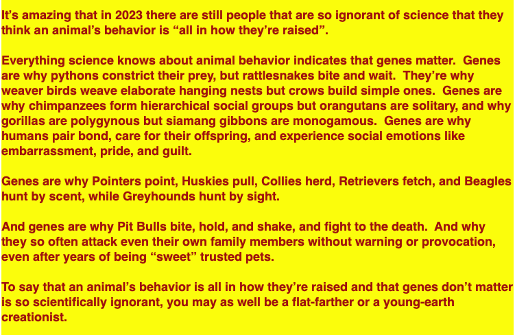 powerball44's tweet photo. @Iza_2021 Jesus F Christ, the stubborn ignorance and stupidity of the Pit Bull cult. Pits were bred to kill and thats what they do. #GenesMatter.
KILL THE PIT! https://t.co/cH6JCkUreb