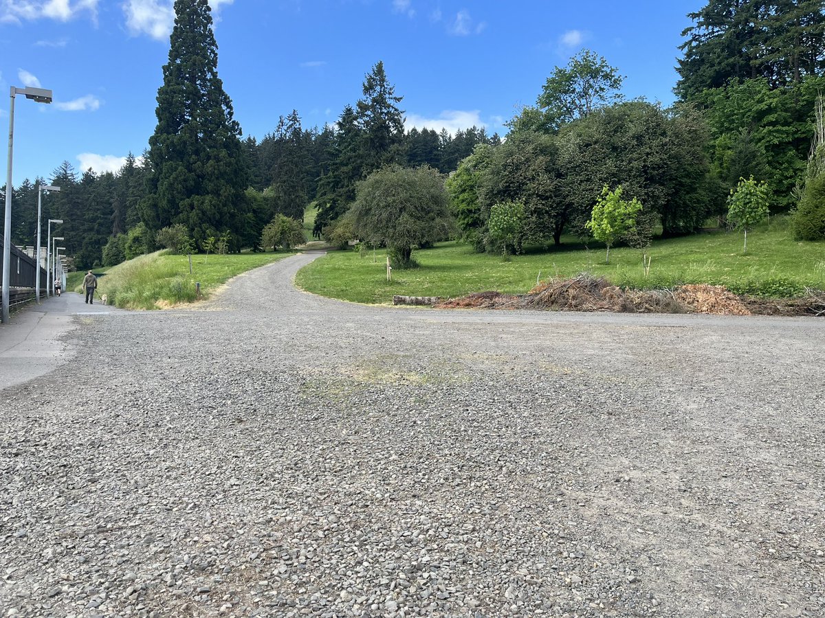 Will Maetzold tweet media