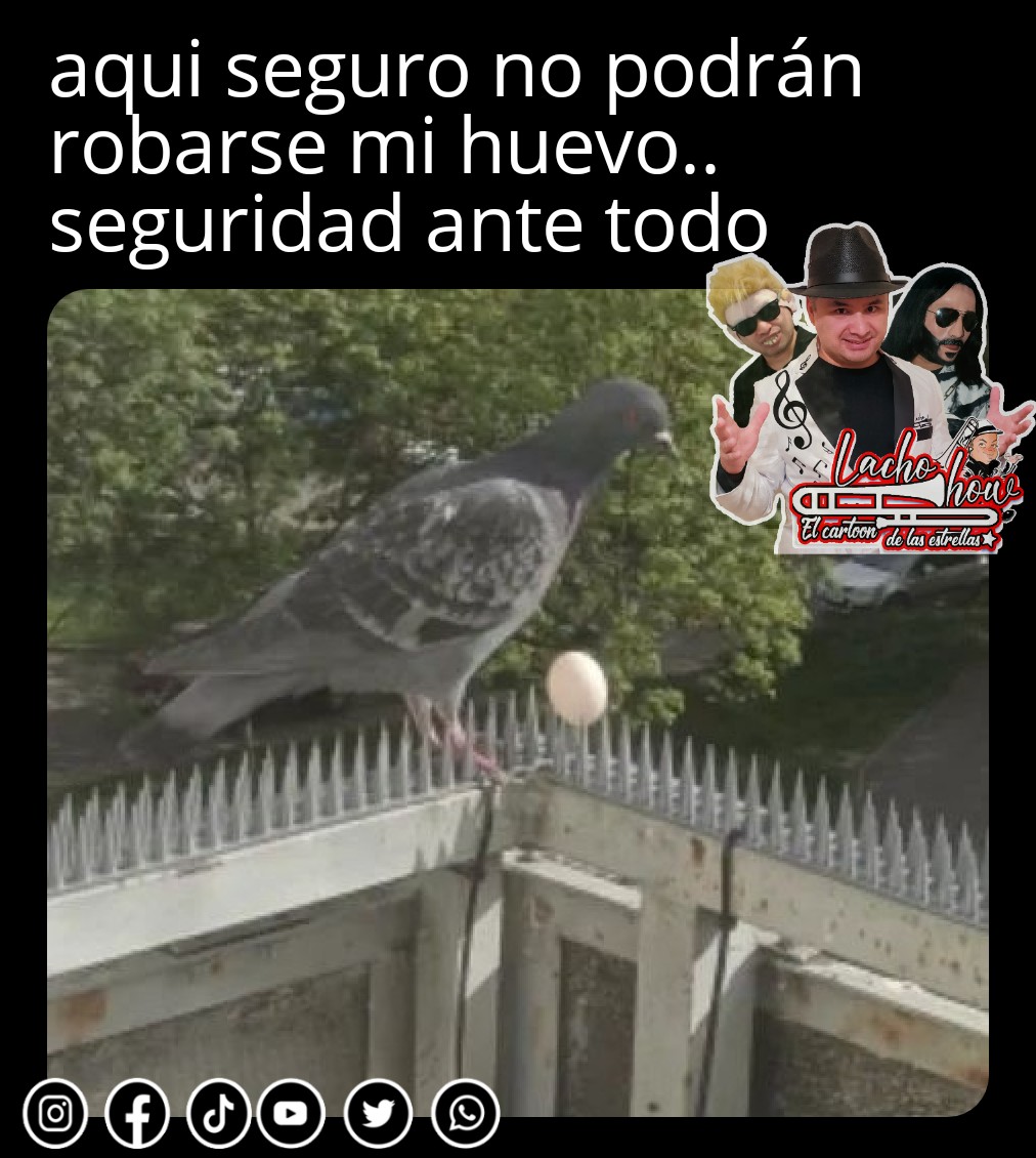 #comediantedemonterrey #comediantesmexicanos #comediantesdemonterrey #comedyshow #comedymemes #comedybar #humornegro #humormexicano #comediahumor #comedian #comedia #lachoshow #comedy #memesgraciosos #memesespañol #meme #comediante #momo #memes #momos #huevos #aves #palomas