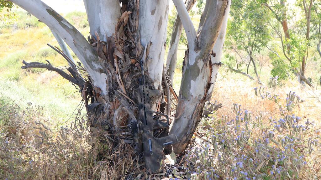 via /r/guns from /u/Cumli