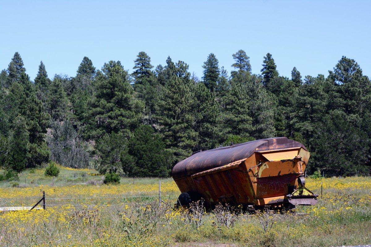 Farm equipment left to weather in the pasture. #trees #trailer #flowers #wildflowers #green #foliage #agriculture #nature #sky #blue #arizona #northernaz #campeverde