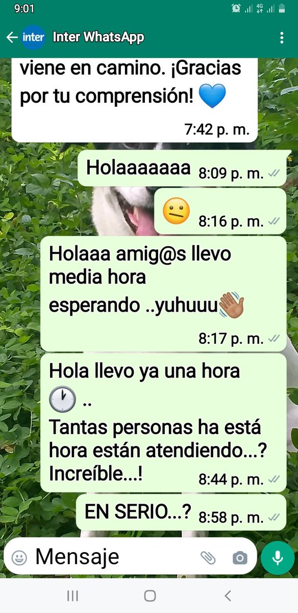 Rdolfjib's tweet photo. La última vez q trate de usar este servicio tardé 2 horas q alguien respondiera al minuto de yo no responder, mientras escribía mi problema cortaron el chat, hoy vamos por el mismo camino... https://t.co/ddx5ZJuNDH