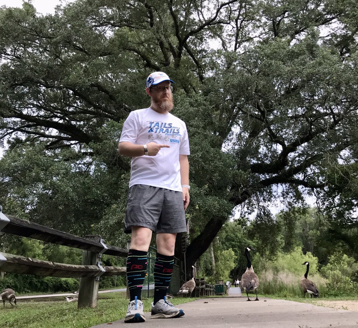 Ruffled a few feathers with the locals today.

3.75 miles.

#IStandWithYou #teamnuun #HSHive #PROAlumni #SquirrelsNutButter #TeamROADiD #TeamULTRA #JoyWins #ULTRAJoy #BeatYesterday #LeagueOfGarmin #StillIRun #SIRunStreak23 #RunChat #WeRunSocial #IHeartTally #Wildlife