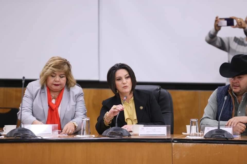 🗒️ BOLETÍN DE PRENSA: Llama diputada Olga Juliana Elizondo a contrarrestar afectaciones de garrapata en ganado mexicano. m.facebook.com/story.php?stor…