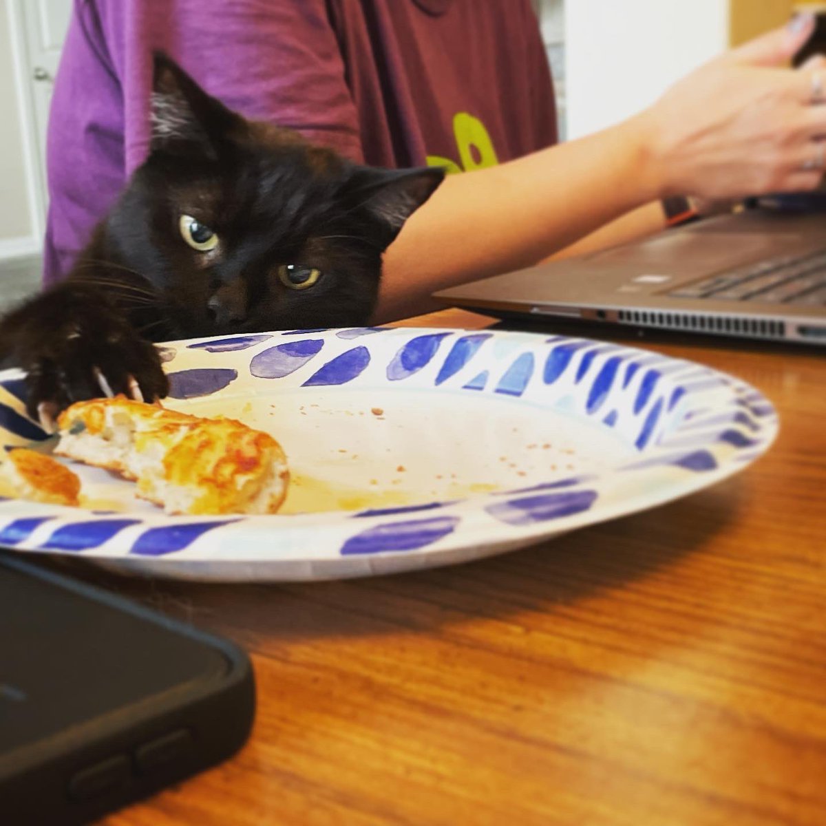 Josh Babetski tweet media