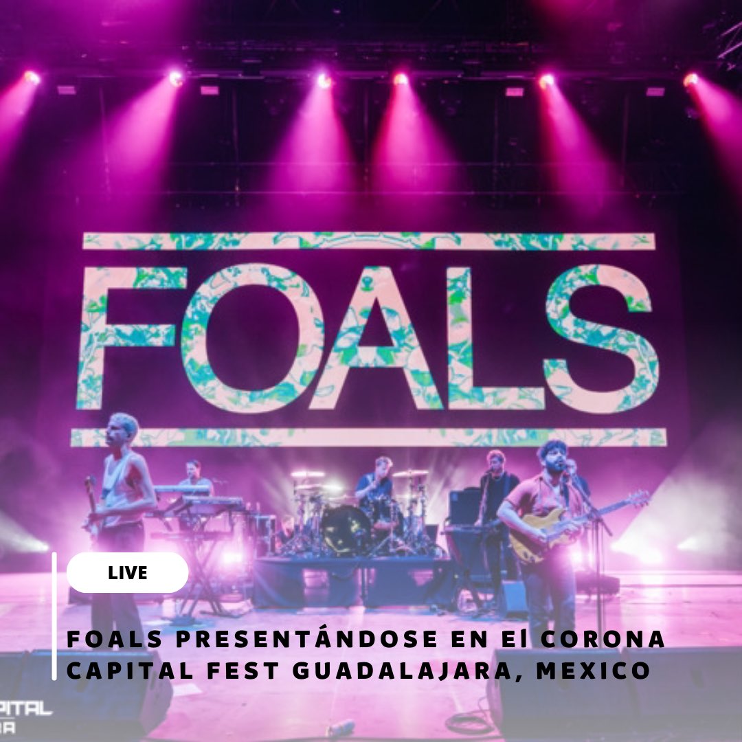 Foals Chile Oficial tweet media