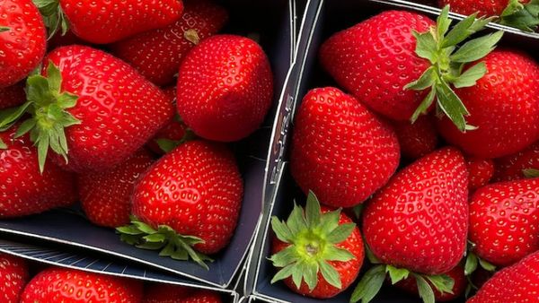 ¿Qué demuestra un #estudio sobre el #vapor seco sobrecalentado para el saneamiento en la #producción de #alimentos secos? bit.ly/3WpKvTW