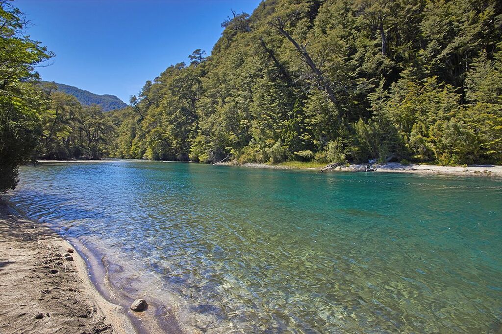 Brain Gain tweet media