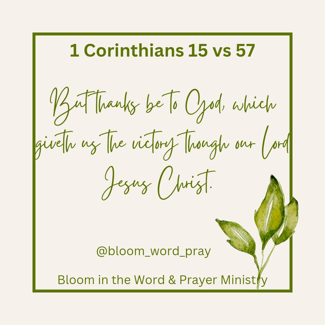 #bloomspiritually #studytheword #prayerandword #wordgrowth