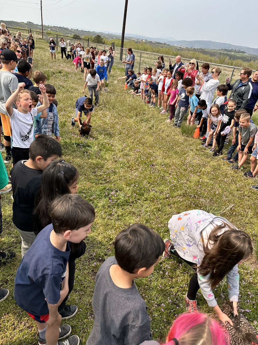 EMcD_WI's tweet photo. Annual Chicken Races at Sedalia Elementary! Such joy and laughter from both students and adults! #chickenraces https://t.co/vbd3f34Rw7