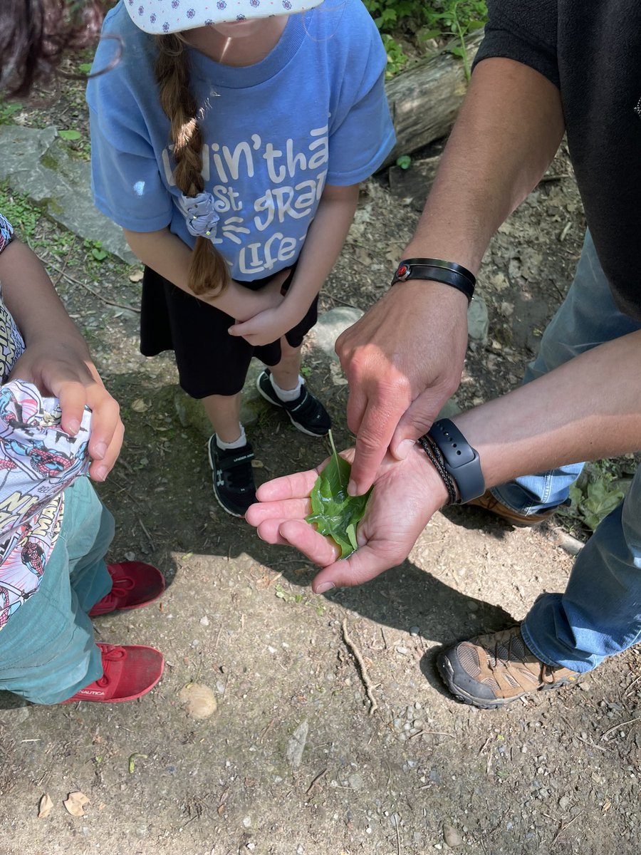 BlessingMahopac's tweet image. Field trip with Hudson! We had a great time exploring nature and learning about wildlife animals at Bowdoin Park! #momofboys #proudap @GoMESDukes @MrsFeeneys_1st