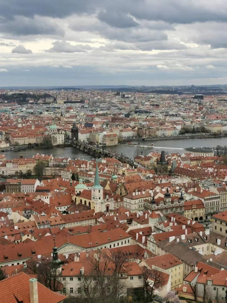 Affliction comes to us, not to make us sad but sober; not to make us sorry but  wise.