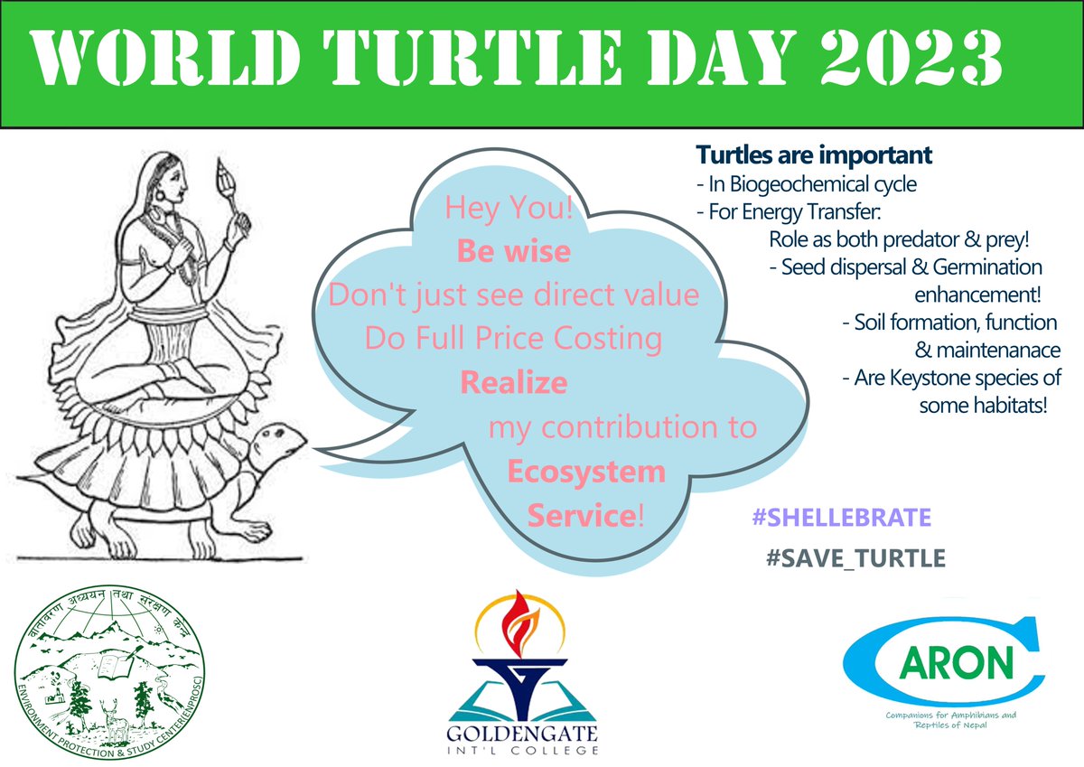 enprosc's tweet photo. Turtles are often collected, consumed or traded &view them with economic perspective. Even then, all Ecosystem services are evaluated.
#PARC #conservation #ENPROSC #Nepal #GGIC #biodiversity #Ecosystem_services #Nepal_turtle_talk #wetlands #Turtles #symposium #caron #shellbrate https://t.co/GkYbXZMlaV