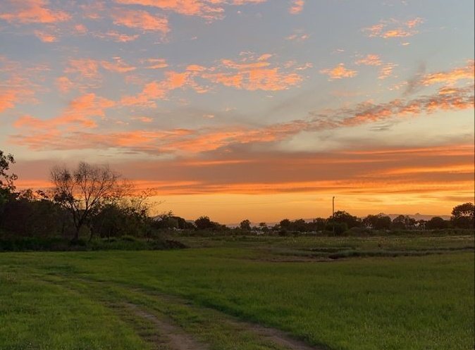 msbooklore's tweet image. go to pinterest, write your name then "vibe" for ur aesthetic!