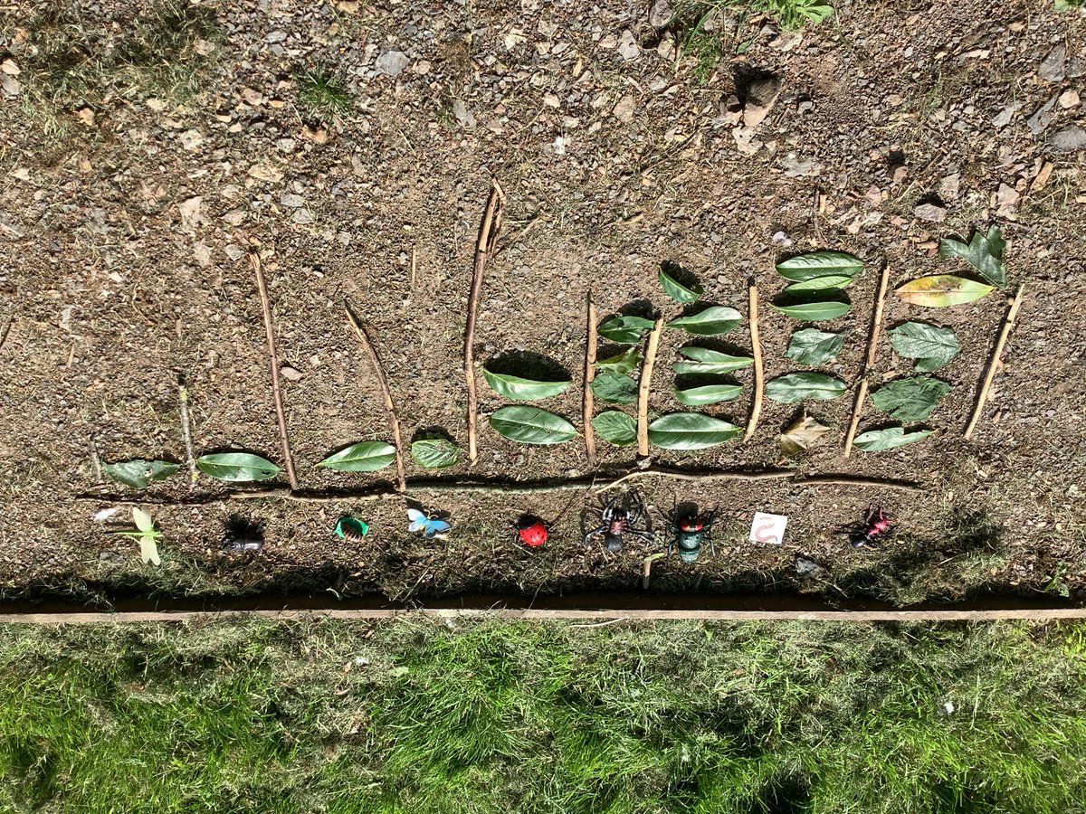 Longleaze's tweet photo. Pupils in Lime class have enjoyed using natural objects to build a bar graph to show how many minibeasts they found in the outside area! 📊

#LongleazeLearners #LearningforLife #LongleazeMathematicians https://t.co/f2RVLb1NTU