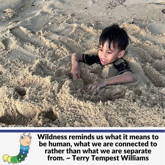 Wildness reminds us what it means to be human, what we are connected to rather than what we are separate from. ~ Terry Tempest Williams

Luangkan masa bersama dan benarkan mereka bebas bermain.

#beloncas #bermaintanpagajet #playislearning #playmatters #smarparenting