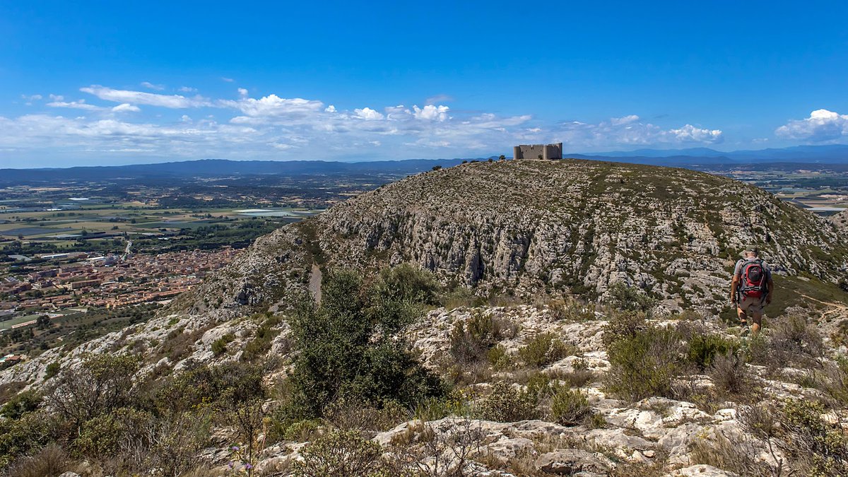 2⃣  #SortidaDimecres al massís i castell de Montgrí (303 m) #excursionisme #100cims #BaixEmpordà (10-05-23)

Galeria de fotos 📸👇📸👇📸👇
facebook.com/media/set?vani…